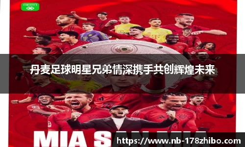 丹麦足球明星兄弟情深携手共创辉煌未来