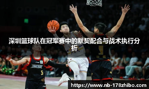 深圳篮球队在冠军赛中的默契配合与战术执行分析
